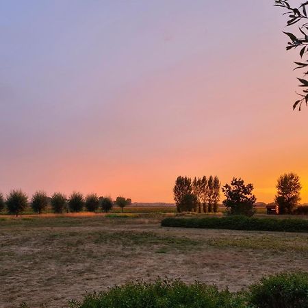 De Luxe Overkapping Middelburg Exteriör bild
