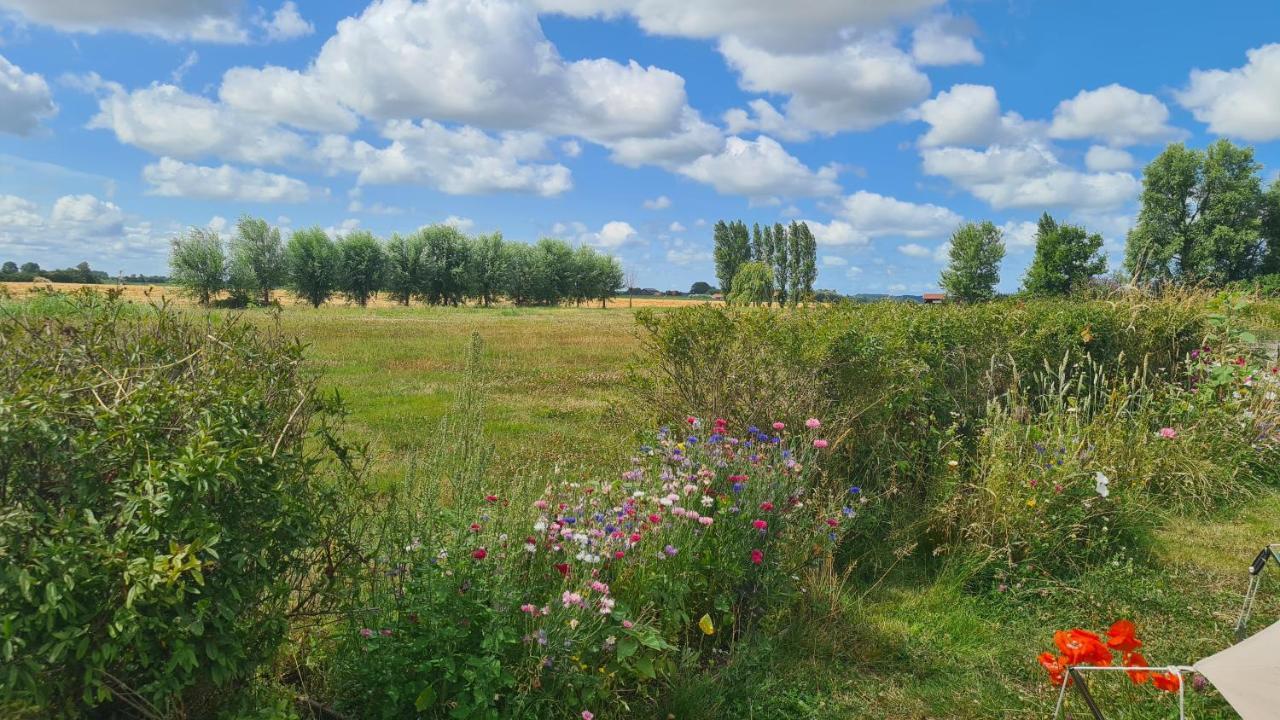 De Luxe Overkapping Middelburg Exteriör bild